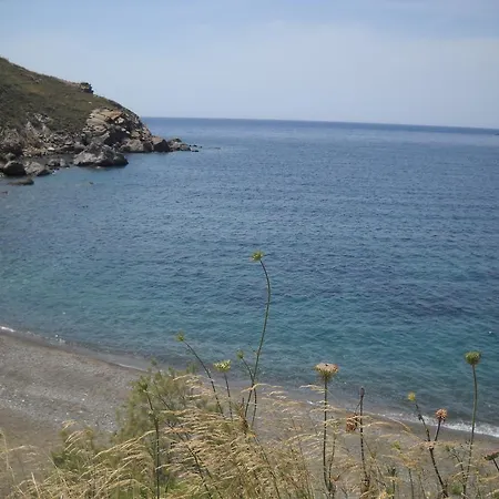 Amphitrite * Myrties