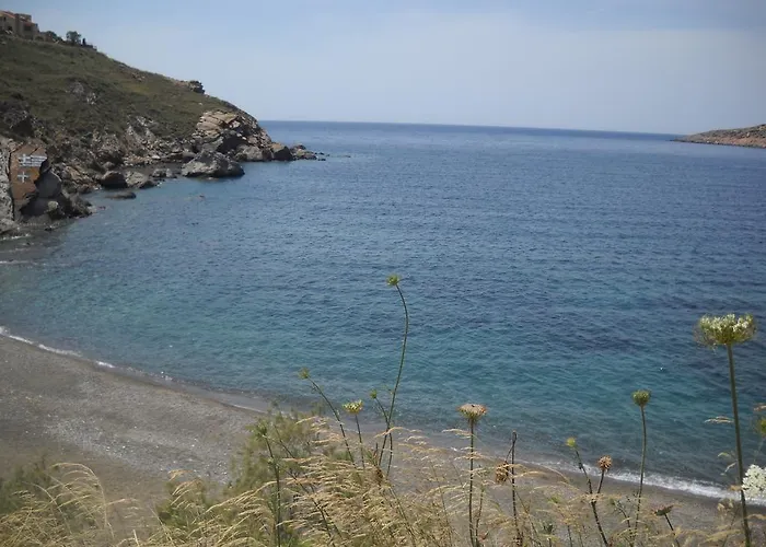 Amphitrite * Myrties